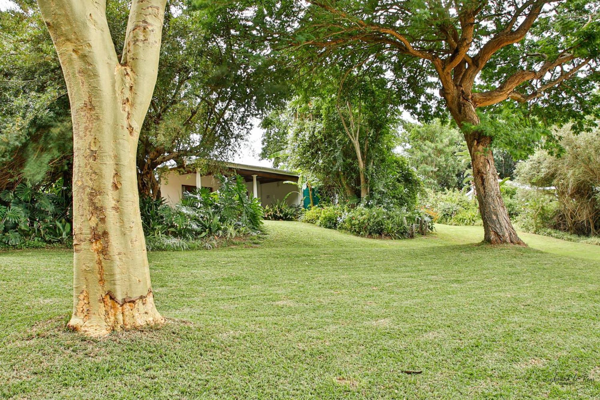Ndlovu Addo River Lodge Kirkwood Ngoại thất bức ảnh